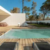 006 Pegasus scaled e1659513346522