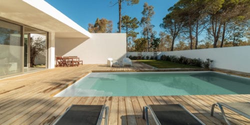 006 Pegasus scaled e1659513346522