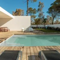 006 Pegasus scaled e1659513346522