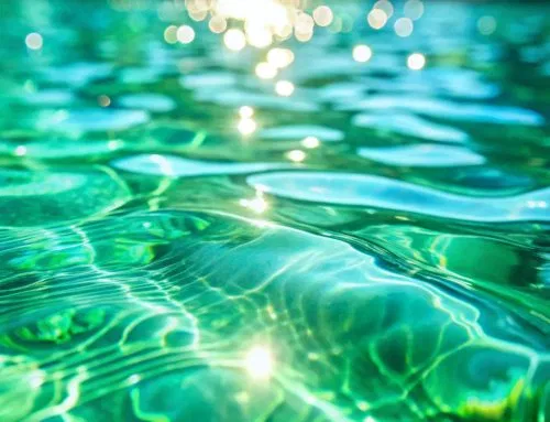 Poolpflege im Sommer